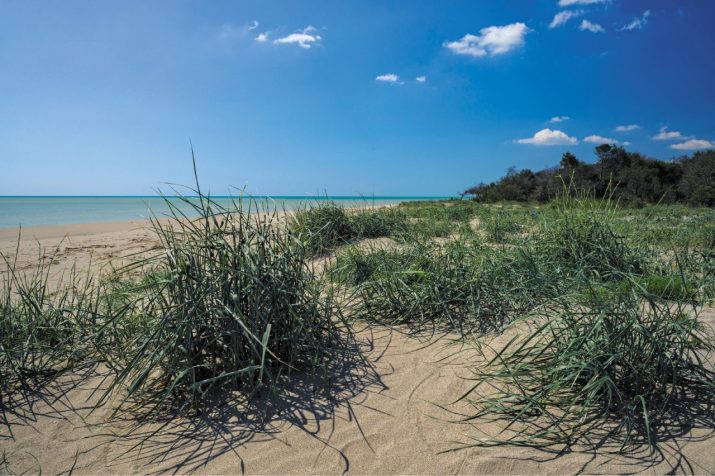 Le spiagge del Mar Ionio